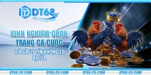 Kinh nghiệm chọn trang cá cược đá gà uy tín không lo bị lừa