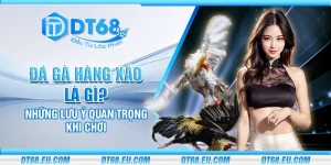 Đá gà hàng xáo là gì? Những lưu ý quan trọng khi chơi