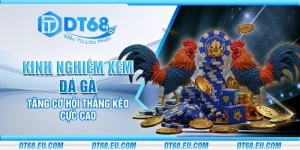 Kinh nghiệm xem đá gà - Tăng cơ hội thắng kèo cực cao
