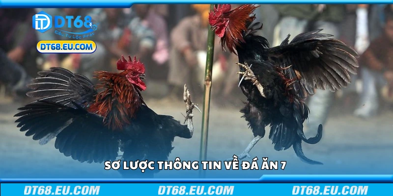Sơ lược thông tin về đá ăn 7 là gì?