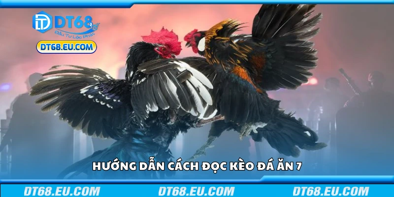 Chi tiết cách đọc kèo đá ăn 7