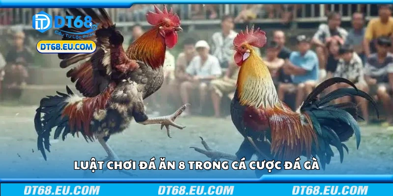 Nắm rõ luật chơi đá ăn 8 trong cá cược đá gà