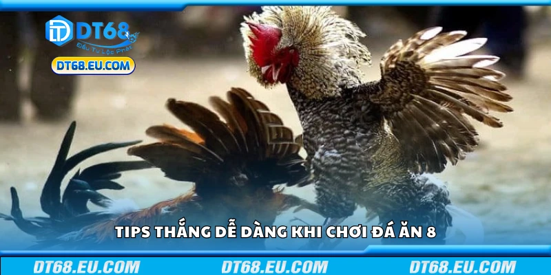 Bí kíp thắng dễ dàng khi chơi đá ăn 8