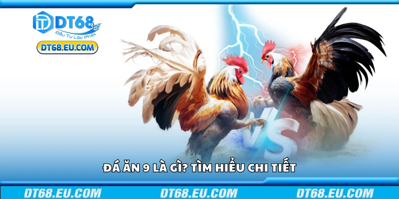 Giới thiệu về đá gà và thuật ngữ đá ăn 9