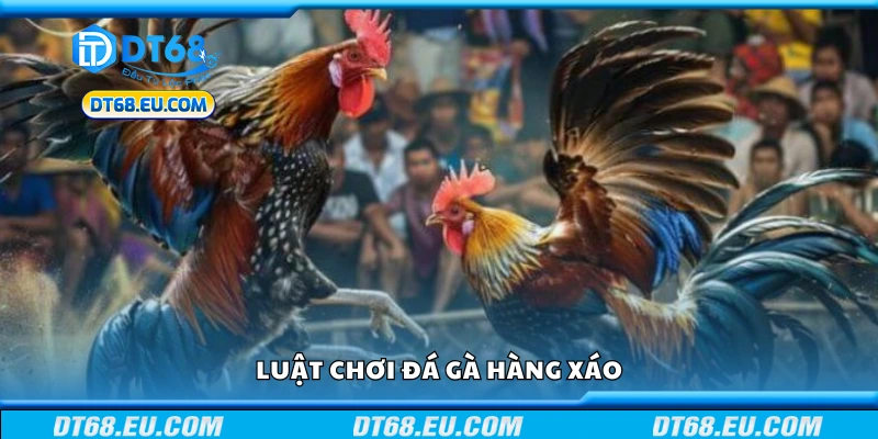 Chi tiết luật chơi đá gà hàng xáo