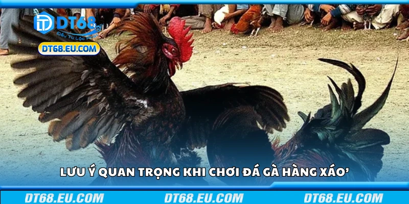 Các lưu ý quan trọng khi chơi đá gà hàng xáo
