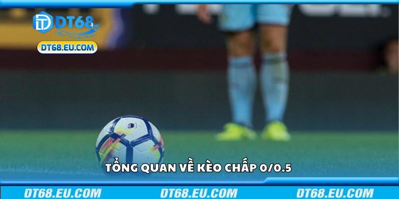 Tìm hiểu về kèo chấp 0/0.5
