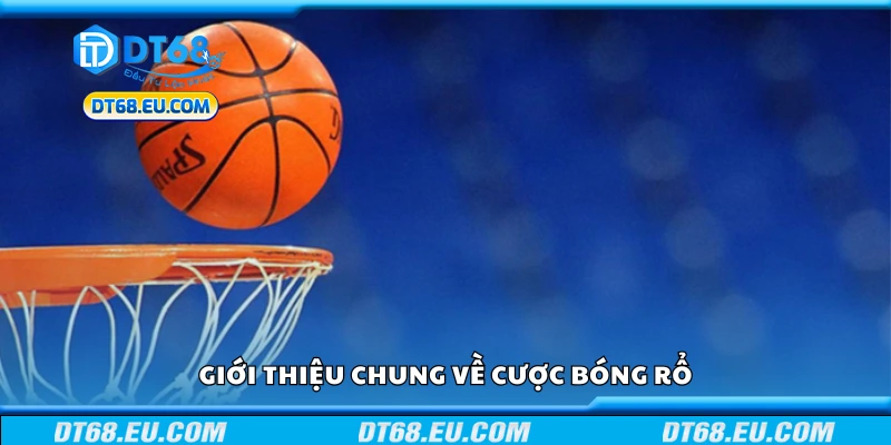 Tìm hiểu chung về cược bóng rổ