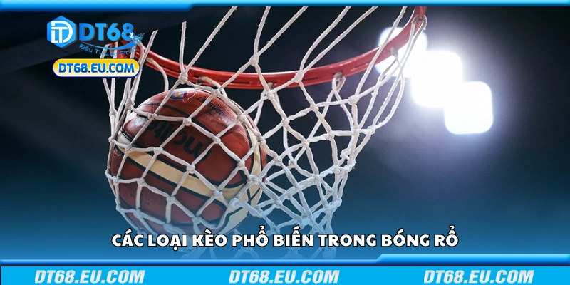 Một số loại kèo phổ biến trong bóng rổ
