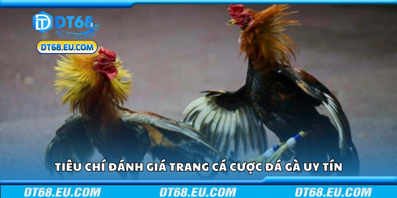 Các tiêu chí đánh giá trang cá cược đá gà uy tín